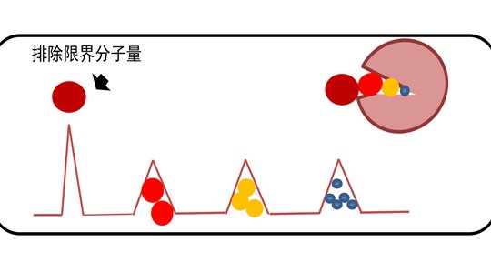 凝膠凈化解決方案